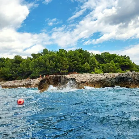Jazbina Pula