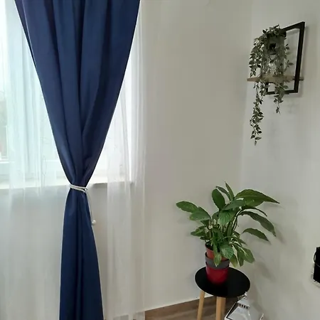 Jazbina *
