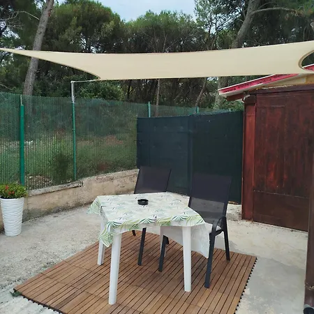Jazbina Apartment